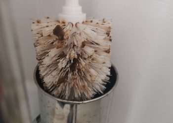Scot horrified after finding poo-covered toilet brush in holiday apartment