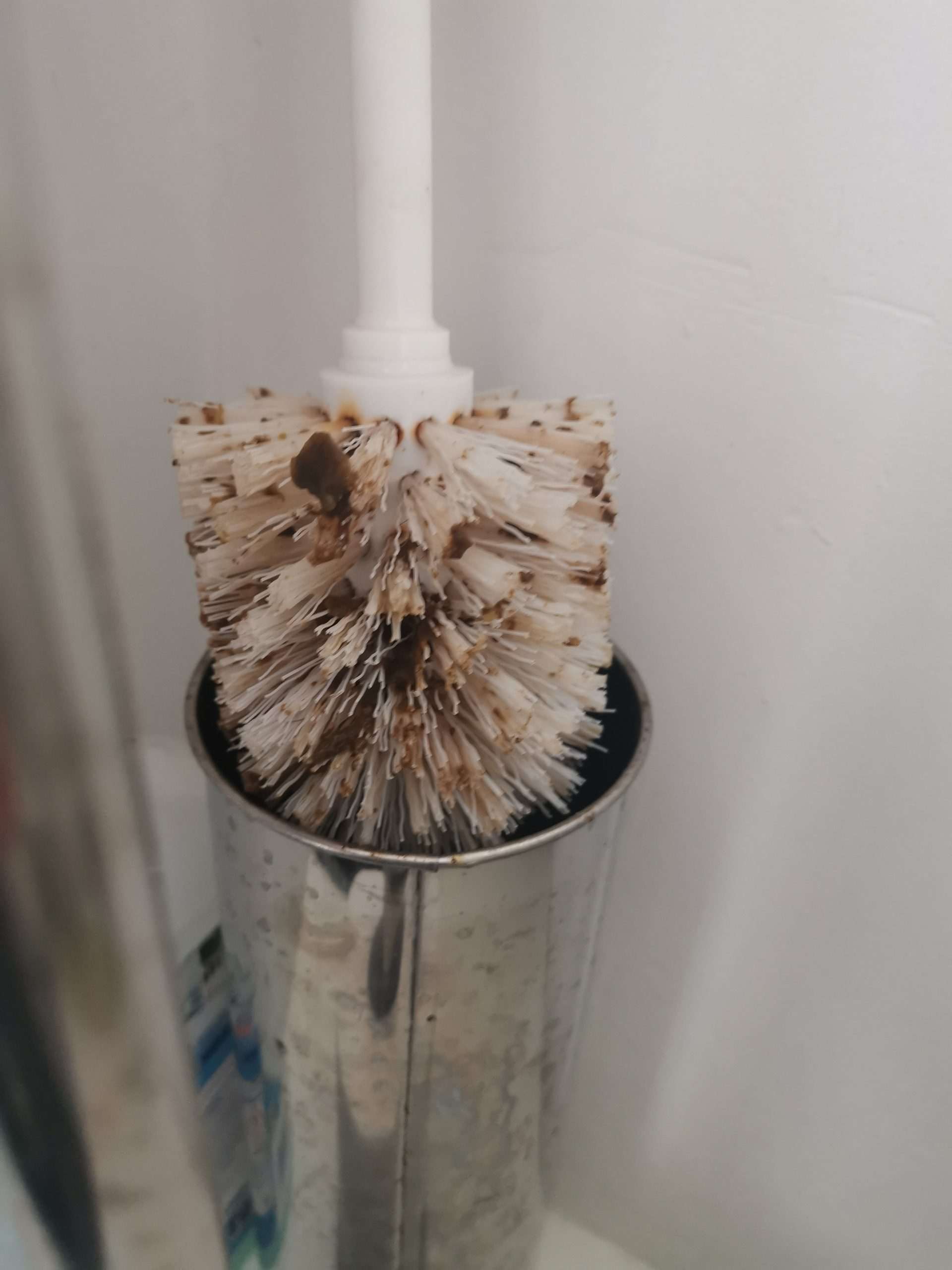 Scot horrified after finding poo-covered toilet brush in holiday apartment