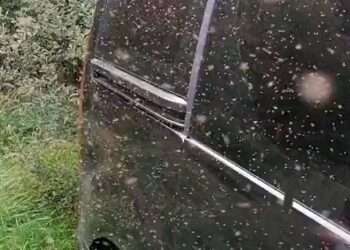 Social media users horrified by video of midges swarming hillwalker