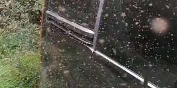 Social media users horrified by video of midges swarming hillwalker