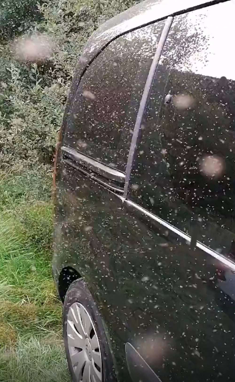 Social media users horrified by video of midges swarming hillwalker