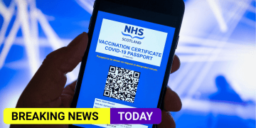 Vaccine passports, face masks and work from home could be winter plan B