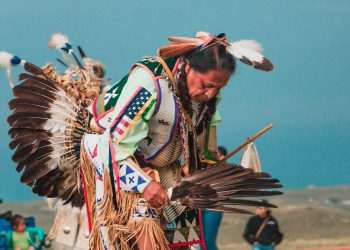 What went right: Indigenous climate wins, plus more positive news