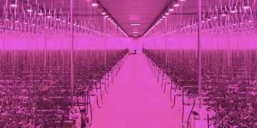 Can we eat UK-grown produce all year, without environmental trade-offs? 