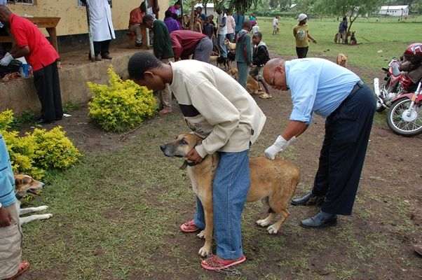Dog vaccination key to rabies elimination, finds Scottish study