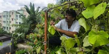 What went right this week: climate solutions, plus more positive news