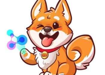 INDC- NANO DOGECOIN AN INNOVATIVE POWERHOUSE