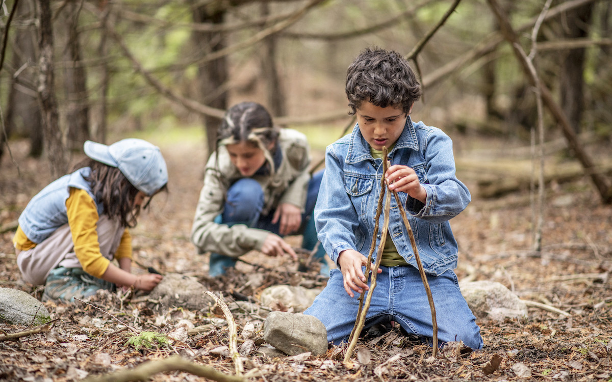 Forest schools are booming in the UK – here’s why - Positive News