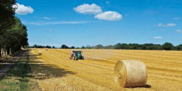 Government to go ahead with farmland rewilding strategy.