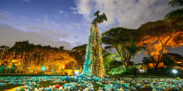 What went right this week: ‘historic’ plastic deal, plus more positive news