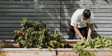 What would happen if all vacant public spaces in UK became mini farms?