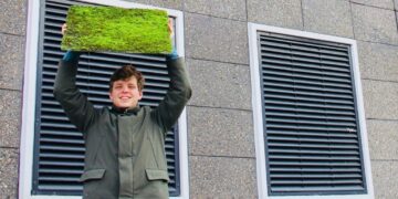 This company is helping cities breathe by covering walls with moss