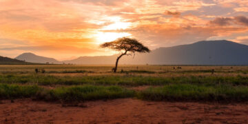 Seven solutions to climate change that need to happen now