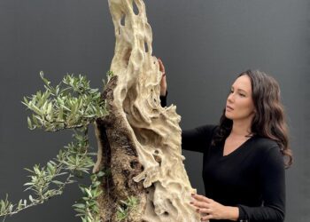 Interview with famous Environmental Artist and scientist Dr.Kasia Sterriker-min