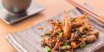 Eating insects can be good for the planet – Europeans should eat more of them