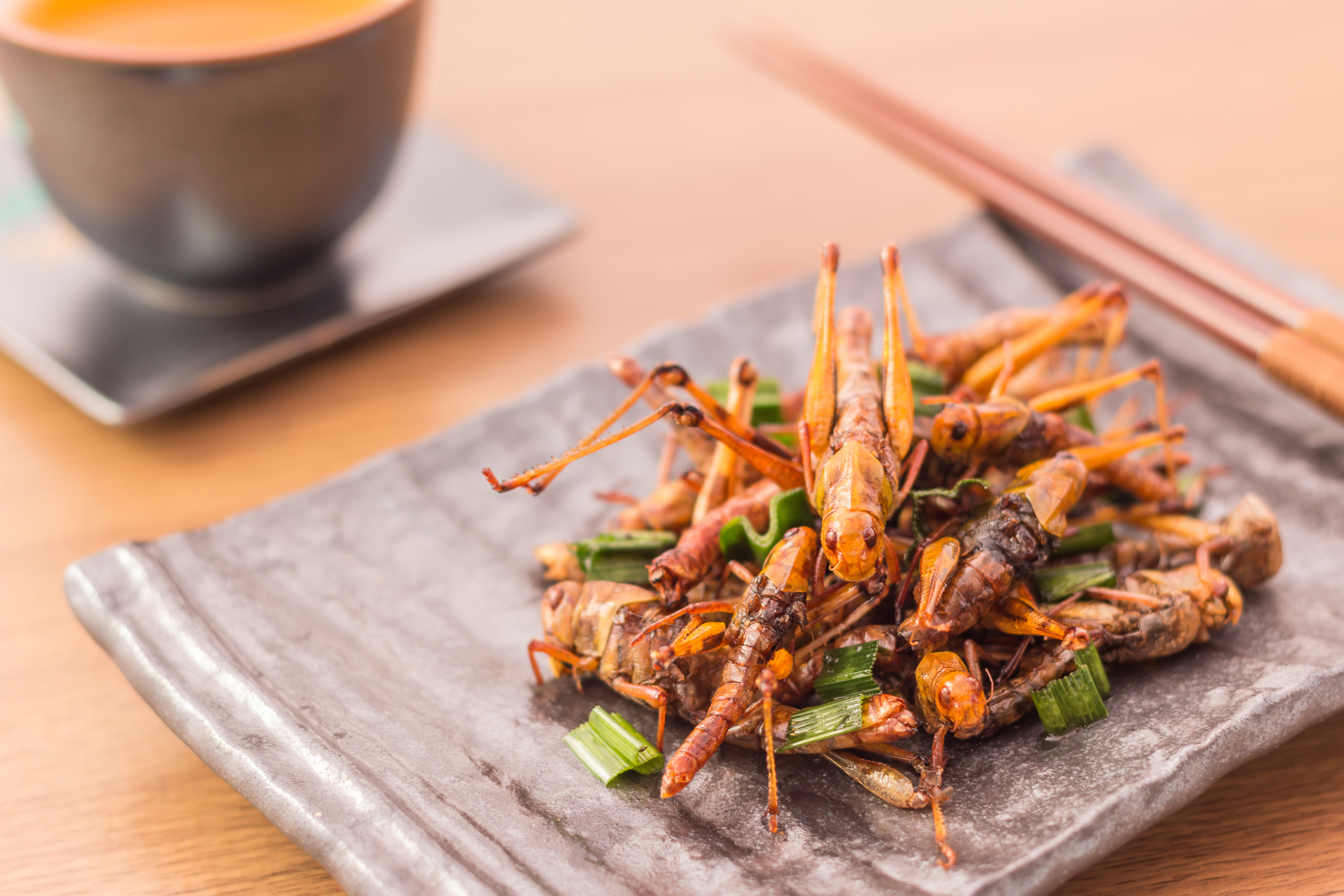 Eating insects can be good for the planet – Europeans should eat more of them