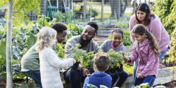 What went right this week: how the world got kinder, and more good news