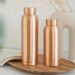 Going for the Glow: Why Paani Copper Water Bottles are the Latest Craze for Health and Sustainability