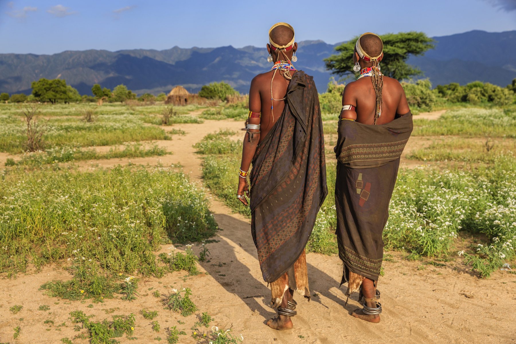 Why are scientists creating a bank for human poo? - Positive News