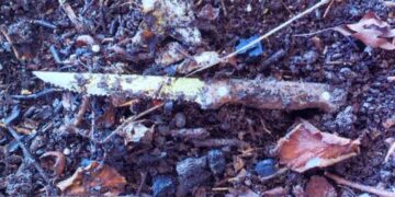 15-year-old Boy Receives 12-Year Sentence for Teenager Stabbing