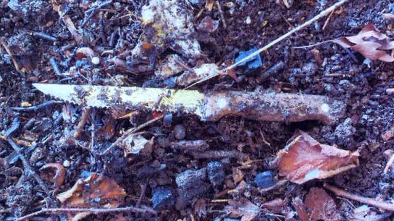 15-year-old Boy Receives 12-Year Sentence for Teenager Stabbing