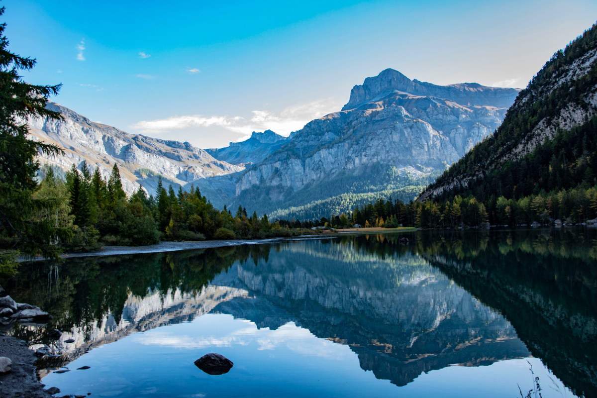 What went right this week: the good news you should know about