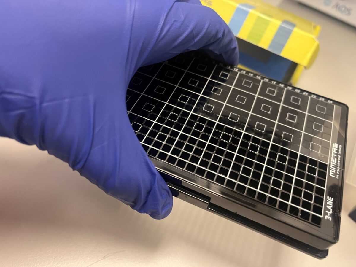 An example of the iPlacenta - a gloved hand holding a black tray