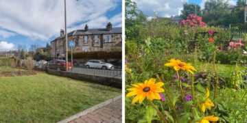 Before and after: the rewilded gardens of Positive News readers