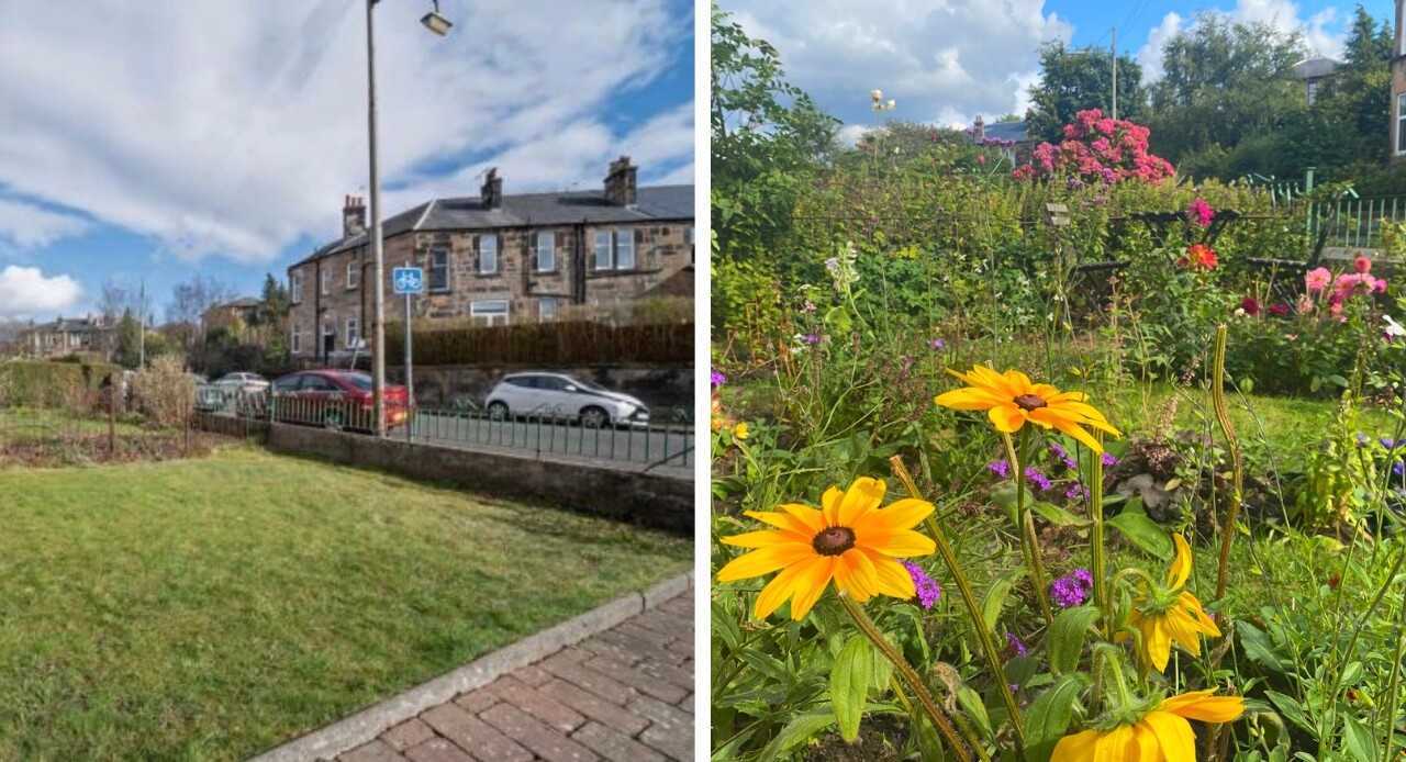 Before and after: the rewilded gardens of Positive News readers