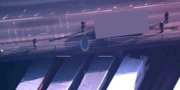 Police have arrested the driver of the car (Picture: SWNS)