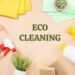 Eco-friendly Cleaning: Benefits and Best Practices