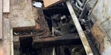 Tenant claims landlord enforcing £500 fee despite mould and flies