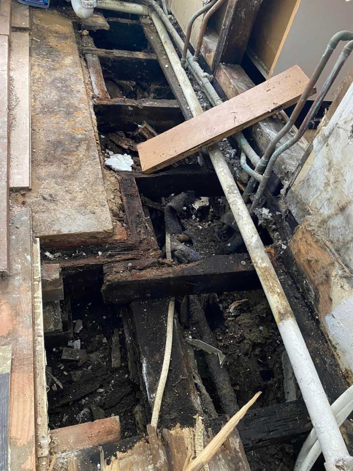 Tenant claims landlord enforcing £500 fee despite mould and flies