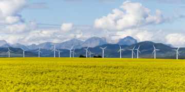 What went right this week: ‘spectacular’ renewables boom keeps 1.5C in sight - Positive News