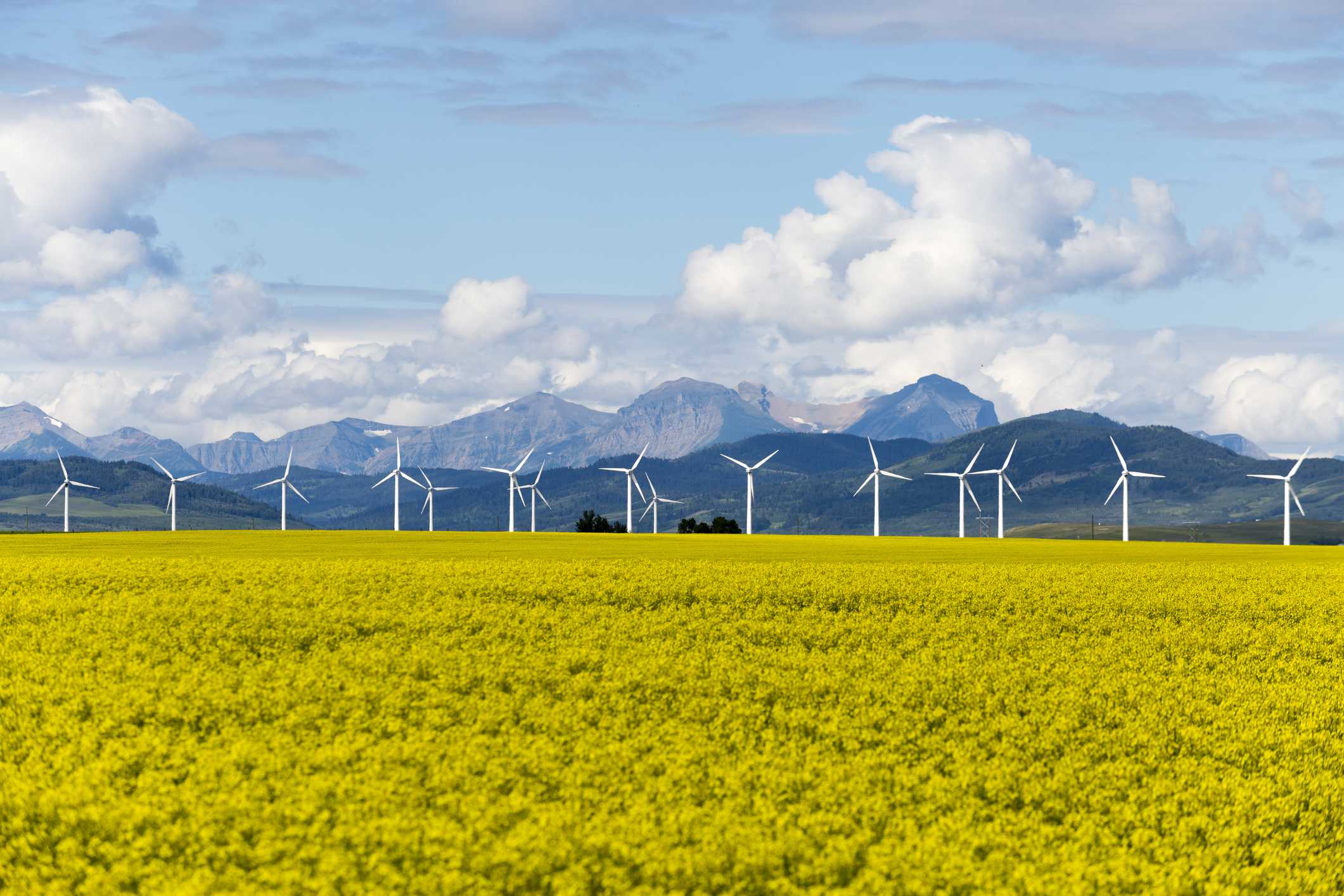 What went right this week: ‘spectacular’ renewables boom keeps 1.5C in sight - Positive News
