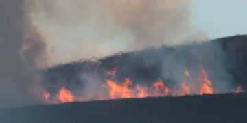 The future of Scotland's rural land
