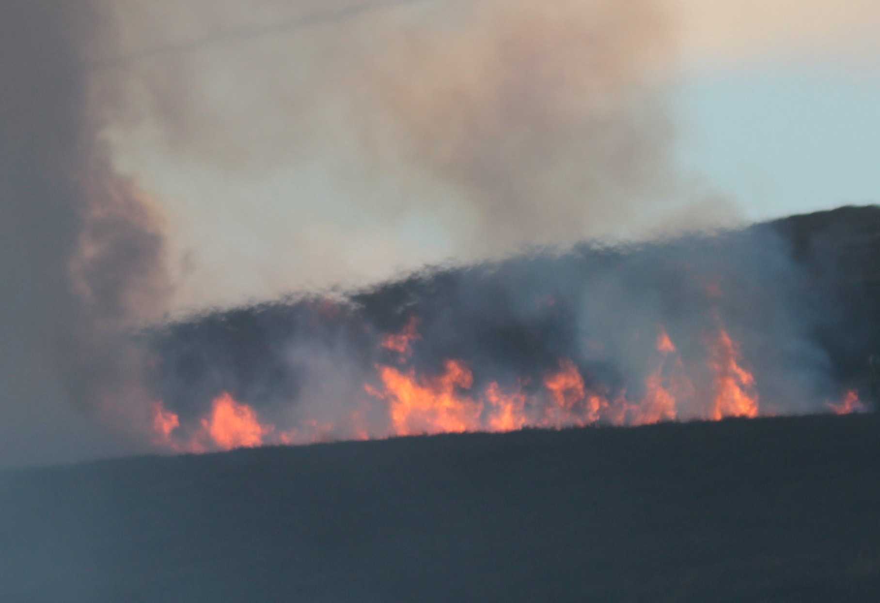 The future of Scotland's rural land