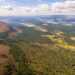Scottish nature reserve sees 25% increase in woodland regrowth