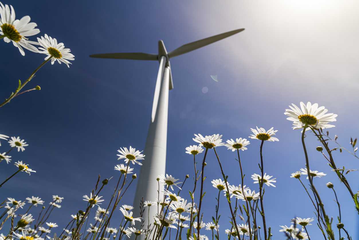 What went right this week: a ‘landmark’ climate deal, plus more - Positive News