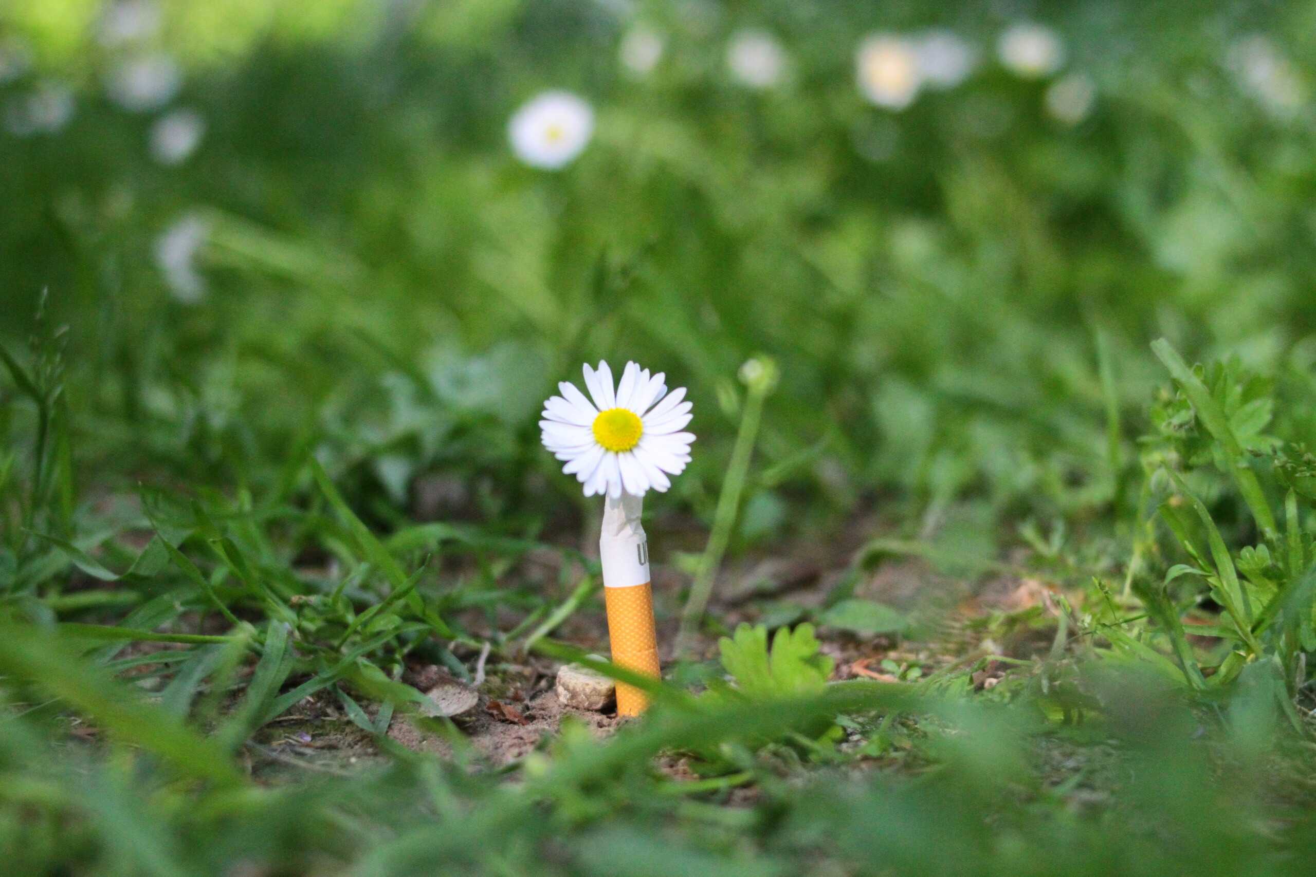 The startups reinventing notoriously hard-to-recycle items - Positive News