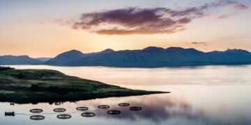 Aquaculture research to receive funding boost in 2024