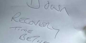 Cheeky fan devises ingenious method to get away with illegal move