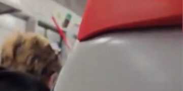 Train conductor tickles passengers with remix of Queen classic