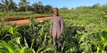 Man stands in field of crops.