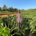 Man stands in field of crops.
