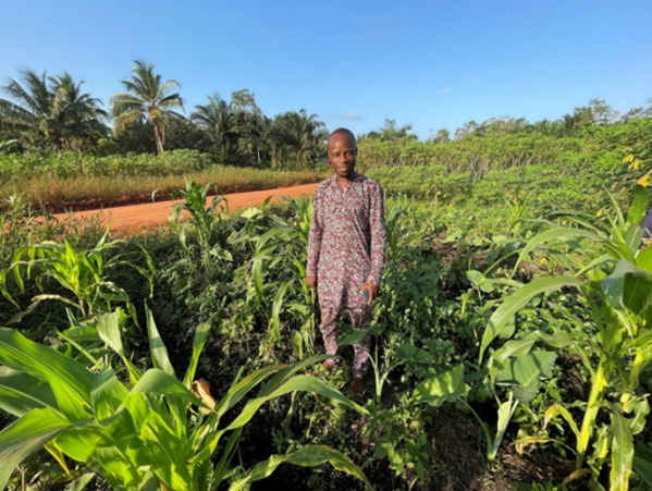 Man stands in field of crops.