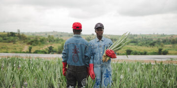 The innovations unleashing the power of design to create a more sustainable and fairer world - Positive News