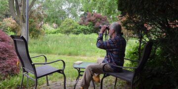 Canadian gardener challenges his city’s ‘outdated’ weed-whacking ways