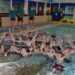 West Dunbartonshire leisure makes award shortlist