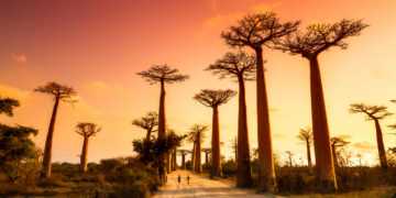 What went right this week: huge gains for nature, plus more